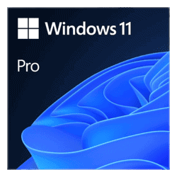 Windows 11 Pro