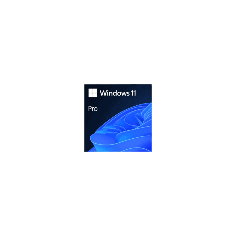 Windows 11 Pro